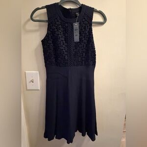 Ann Taylor Navy Dress
